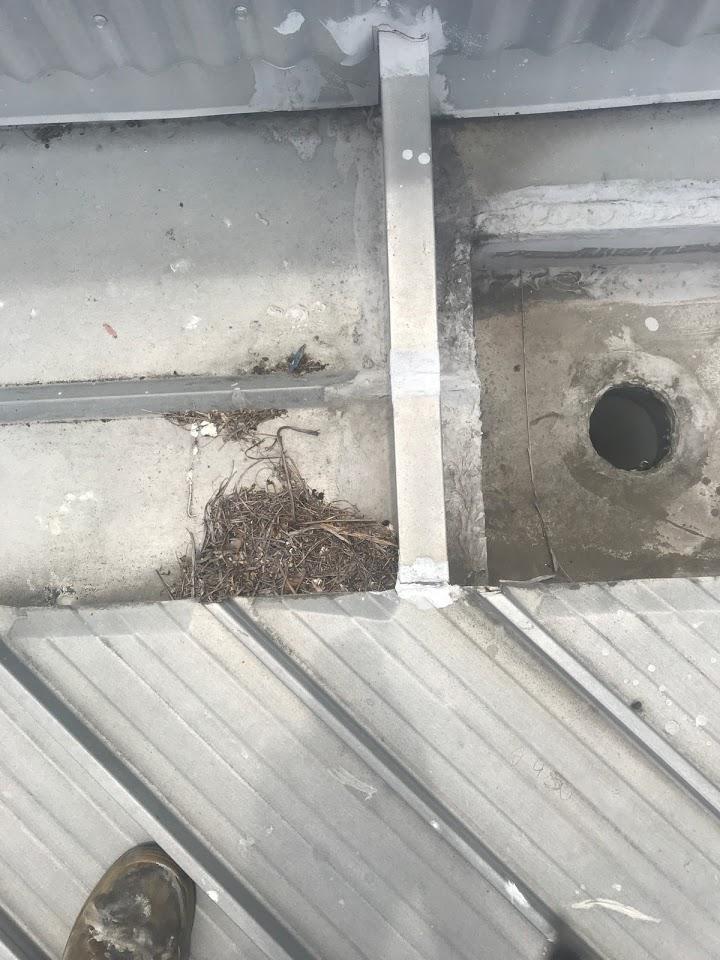 Images Top to Bottom Plumbing Townsville