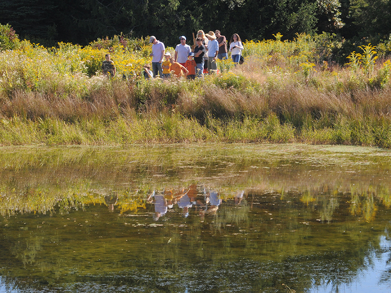 Natural Images Landscaping Peconic Ny Natural Images Landscaping Peconic Ny