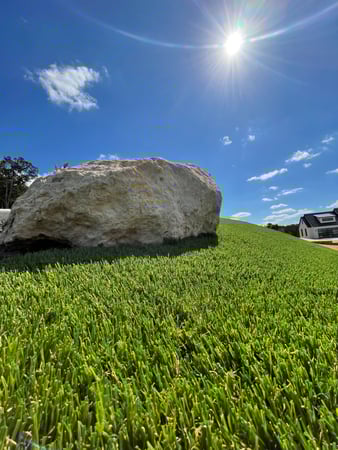Images Waterloo Turf Austin