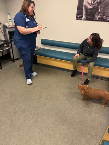Images VCA Southeast Portland Animal Hospital