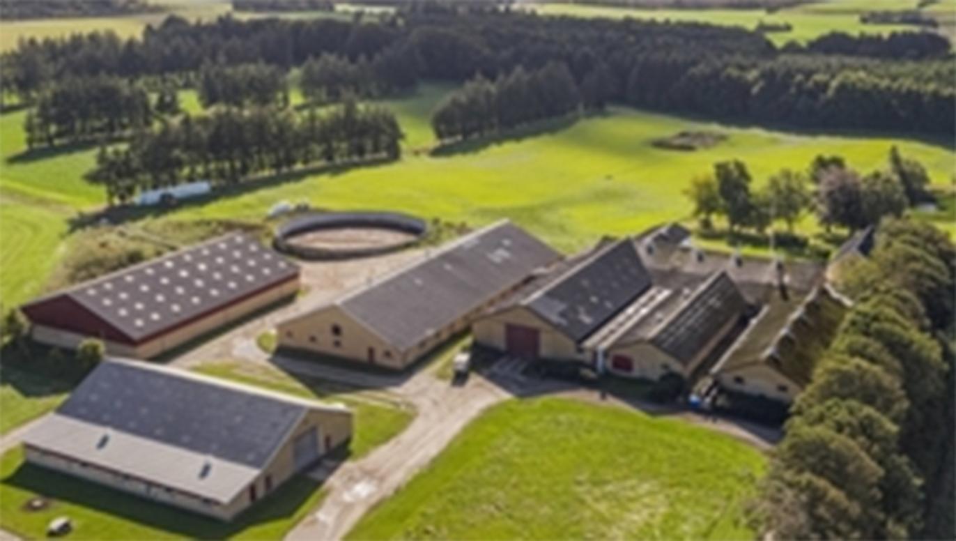 Images Ejendomsmæglerfirmaet Evald Borup I/S