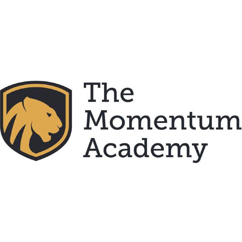 The Momentum Academy Logo
