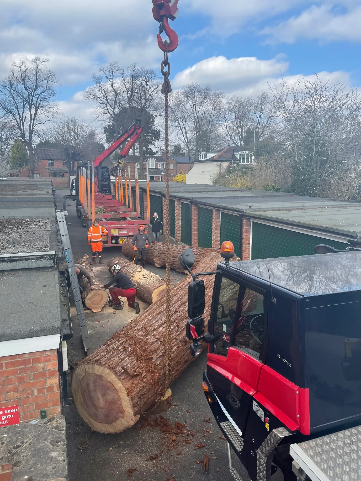 Images Tree Wise Men Warwickshire Ltd