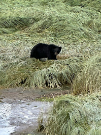 Images Voyage Crafter, A Cruise Planners Franchise