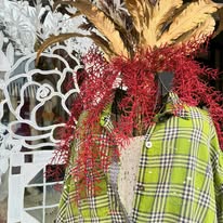 Images Clementines Boutique