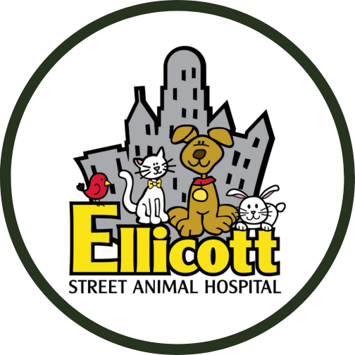 Ellicott Street Animal Hospital - Buffalo, NY 14203 - (716)852-8276 | ShowMeLocal.com