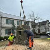 Images Boyd Bros Tree Care