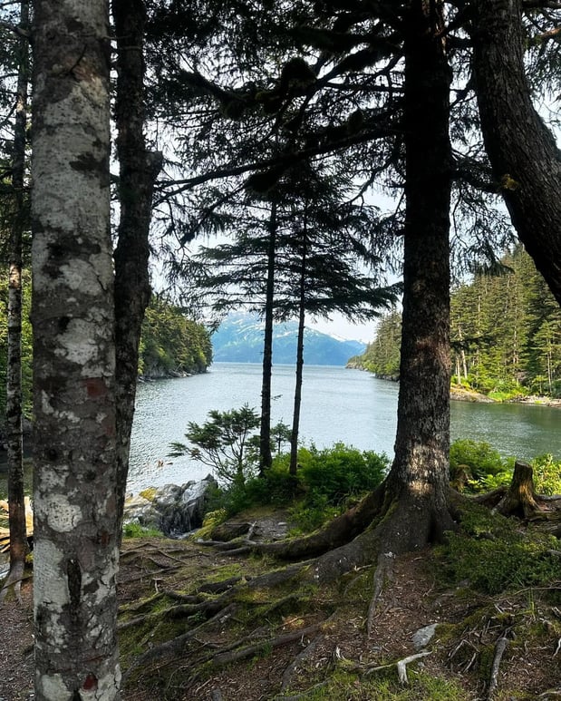 Images Ken Richards - State Farm Insurance Agent