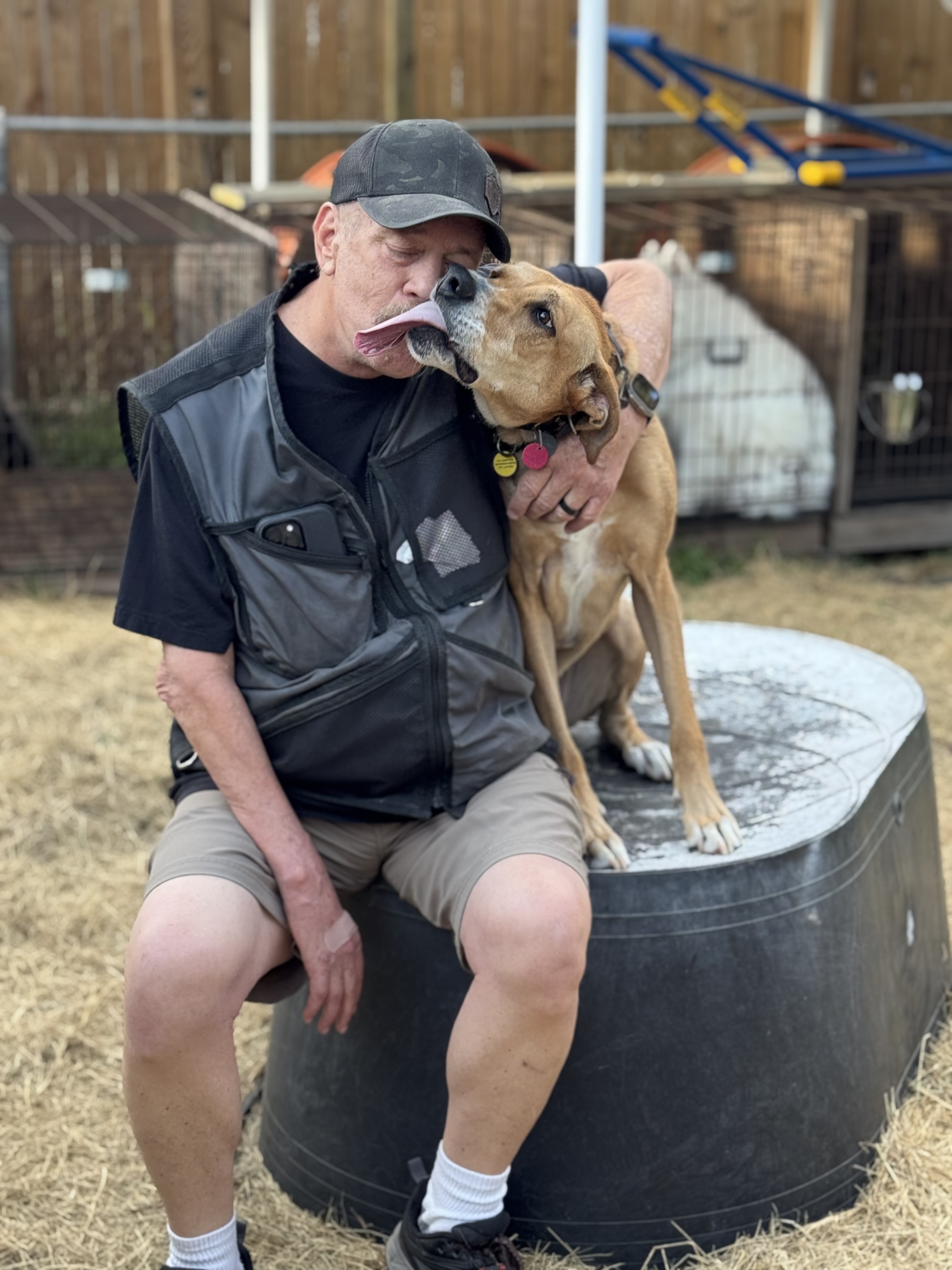 Russell's K9 Academy Image