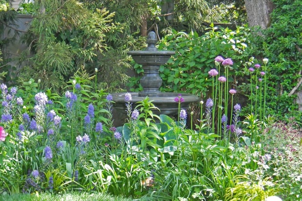 Images DaPonte's Landscaping Services