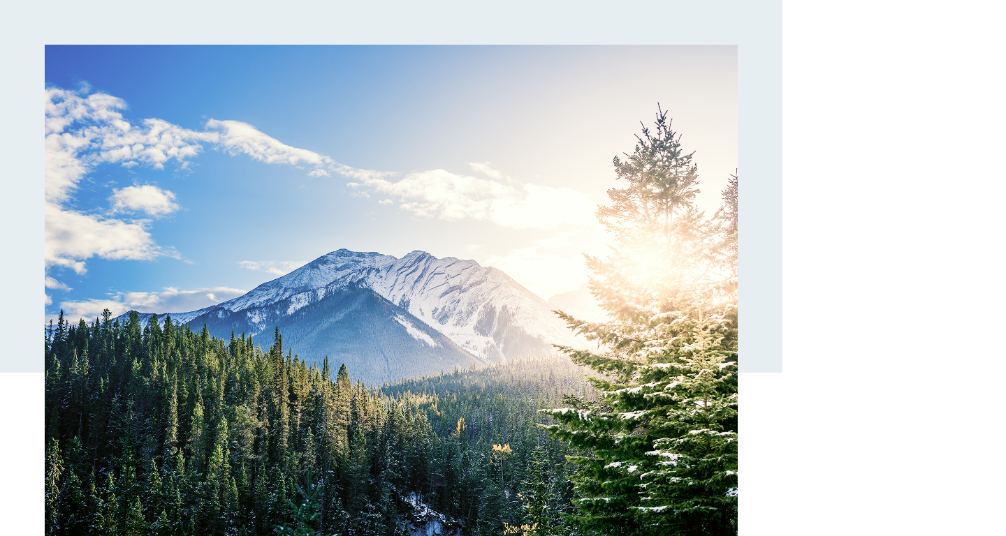 Sun rising behind a snow-capped mountain in the background, with dense pine trees in the foreground.
