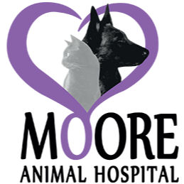 Moore Animal Hospital
