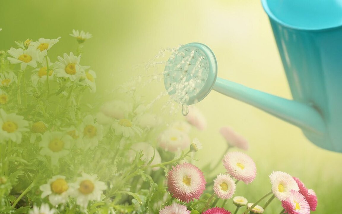 Images Le Jardin des Potentiels