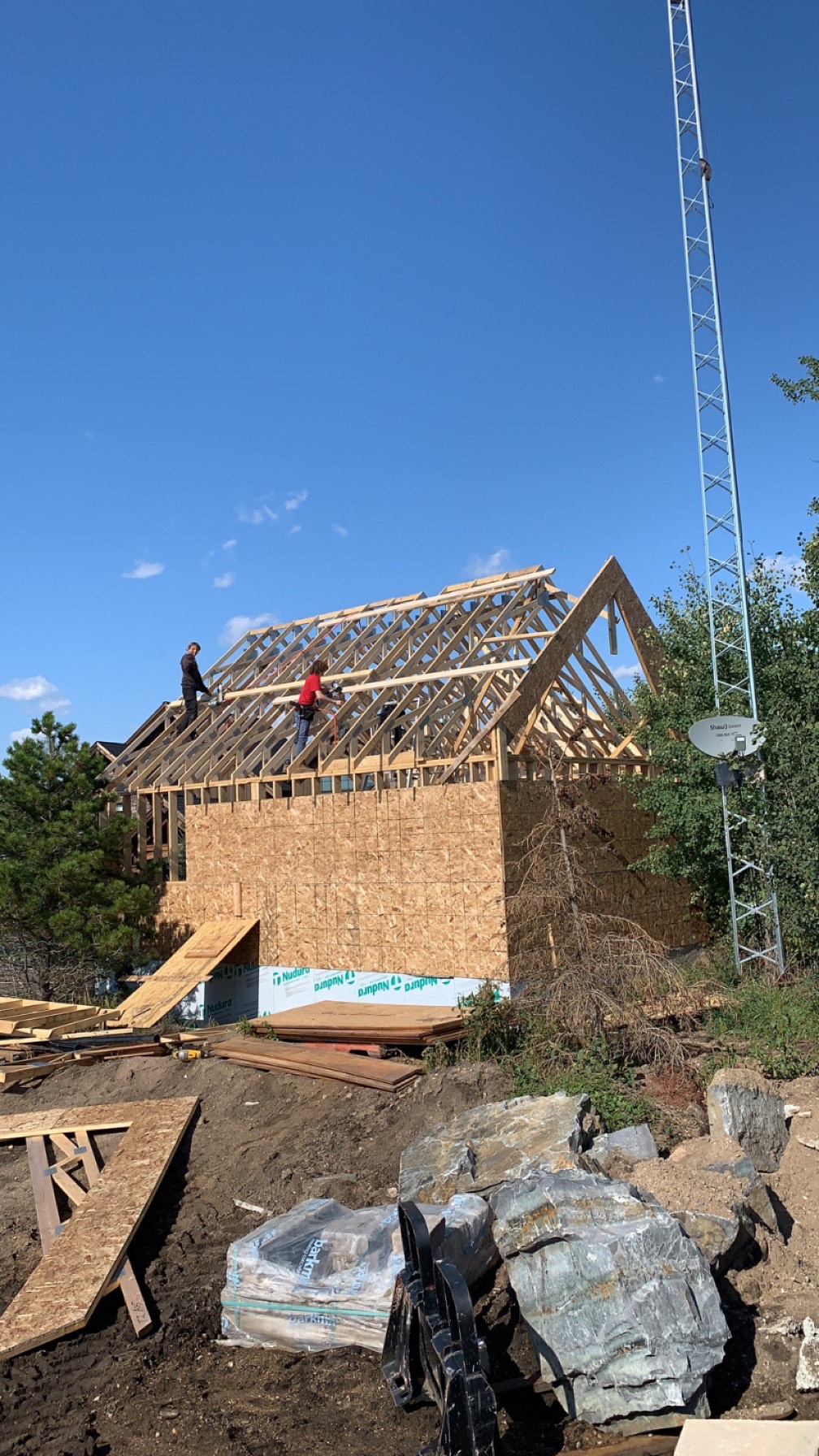 Images The Blue Spruce Builder