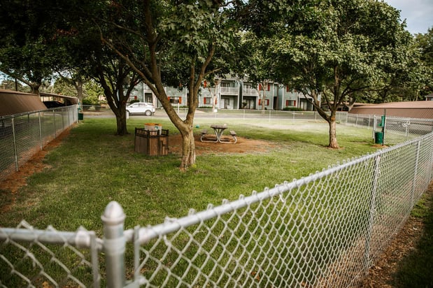 Images Spring Brook Apartments