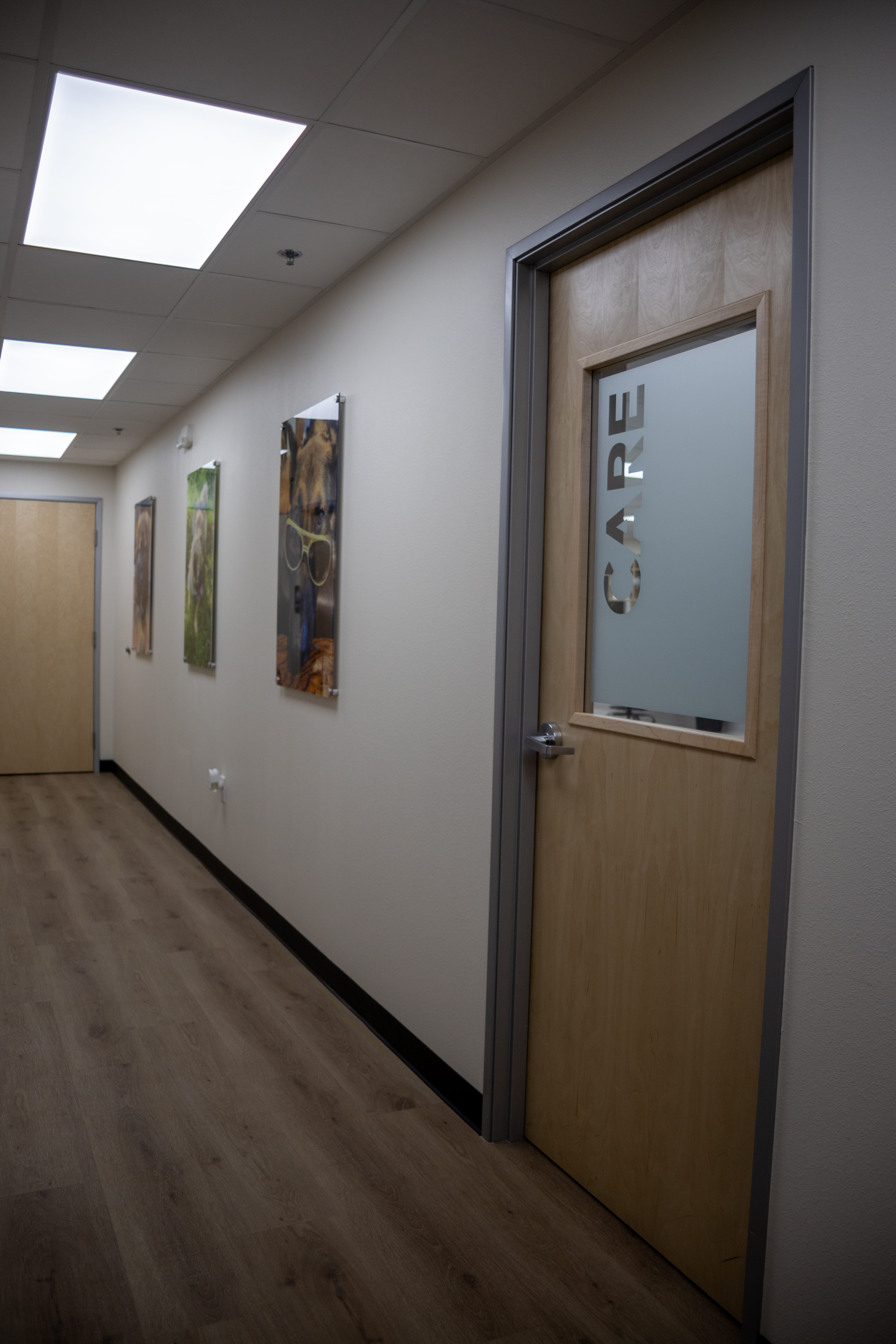 CityVet | West 7th inside clinic