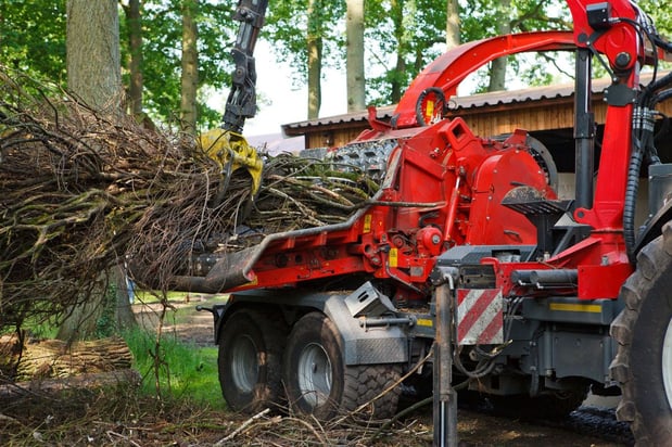 Images Vega's Tree Service