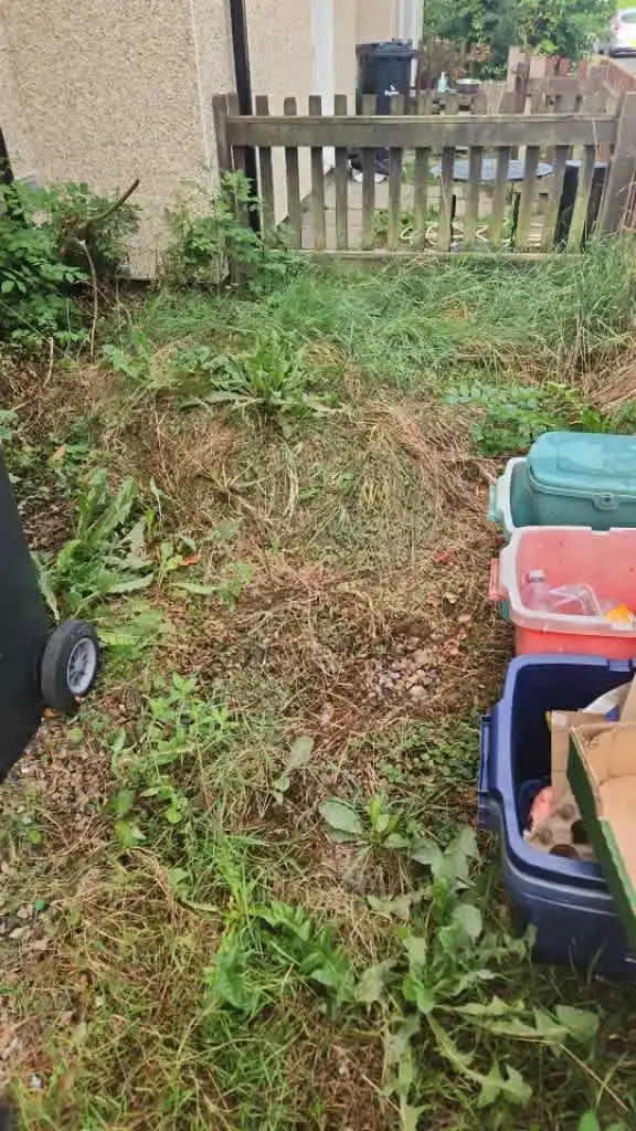 Images Master Moves Man & Van