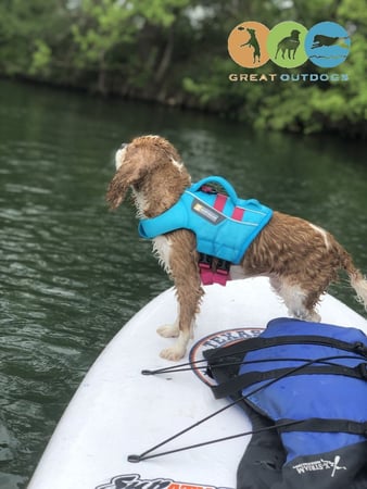 Images Great Outdogs
