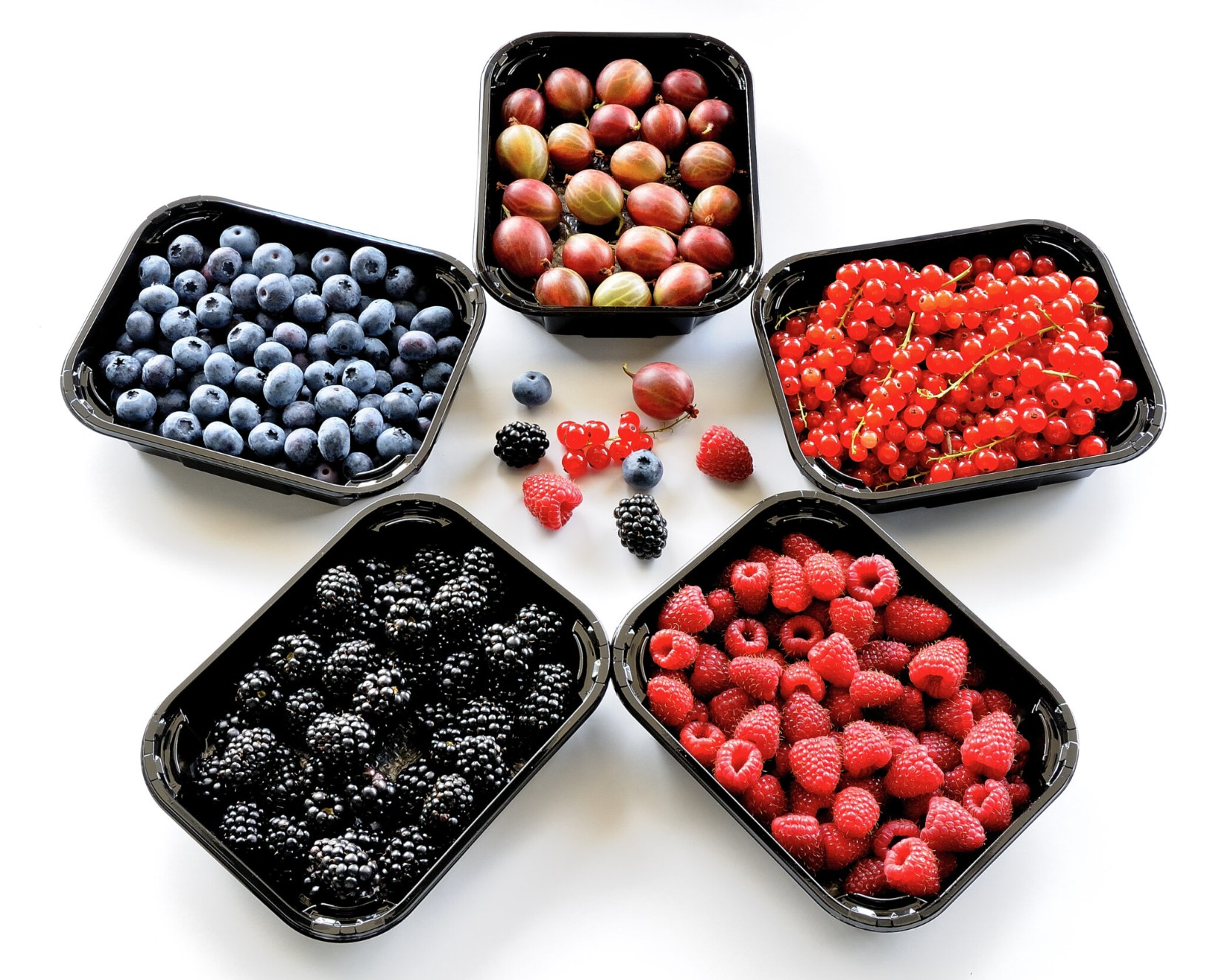 Stalder Schweizerfrüchte AG, Vorderdorf 1 in Aesch LU