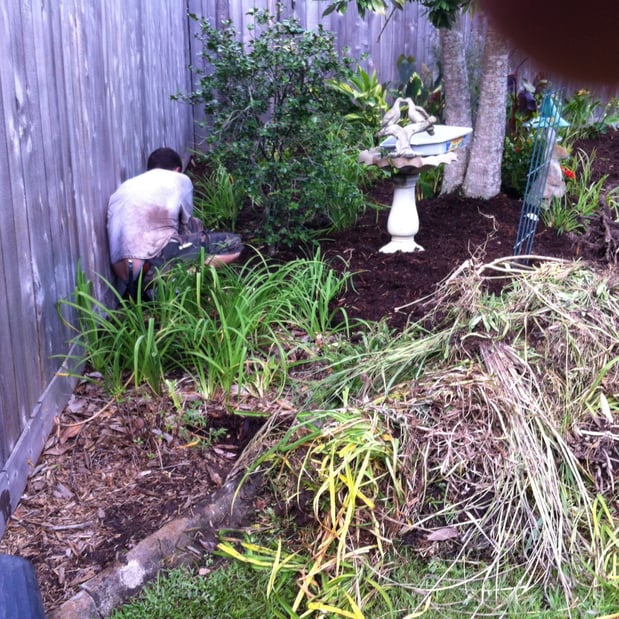 Images II Guys Landscaping