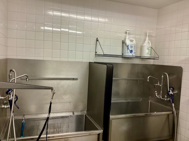 Images Petco Grooming