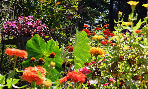 Images Michael Watz Photography