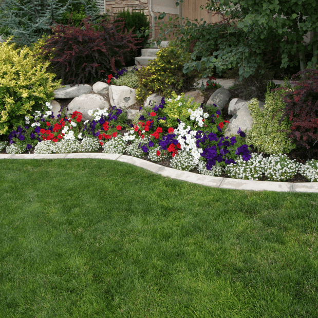 Images Lopez Tree Services and Landscaping