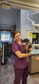 Images VCA Peone Pines Animal Hospital