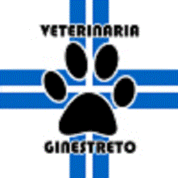 Ambulatorio Veterinario Ginestreto Logo