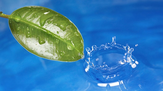 Images Saybolt Danmark A/S