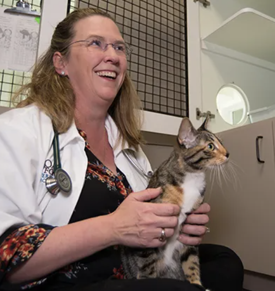 Images Oak Forest Veterinary Hospital