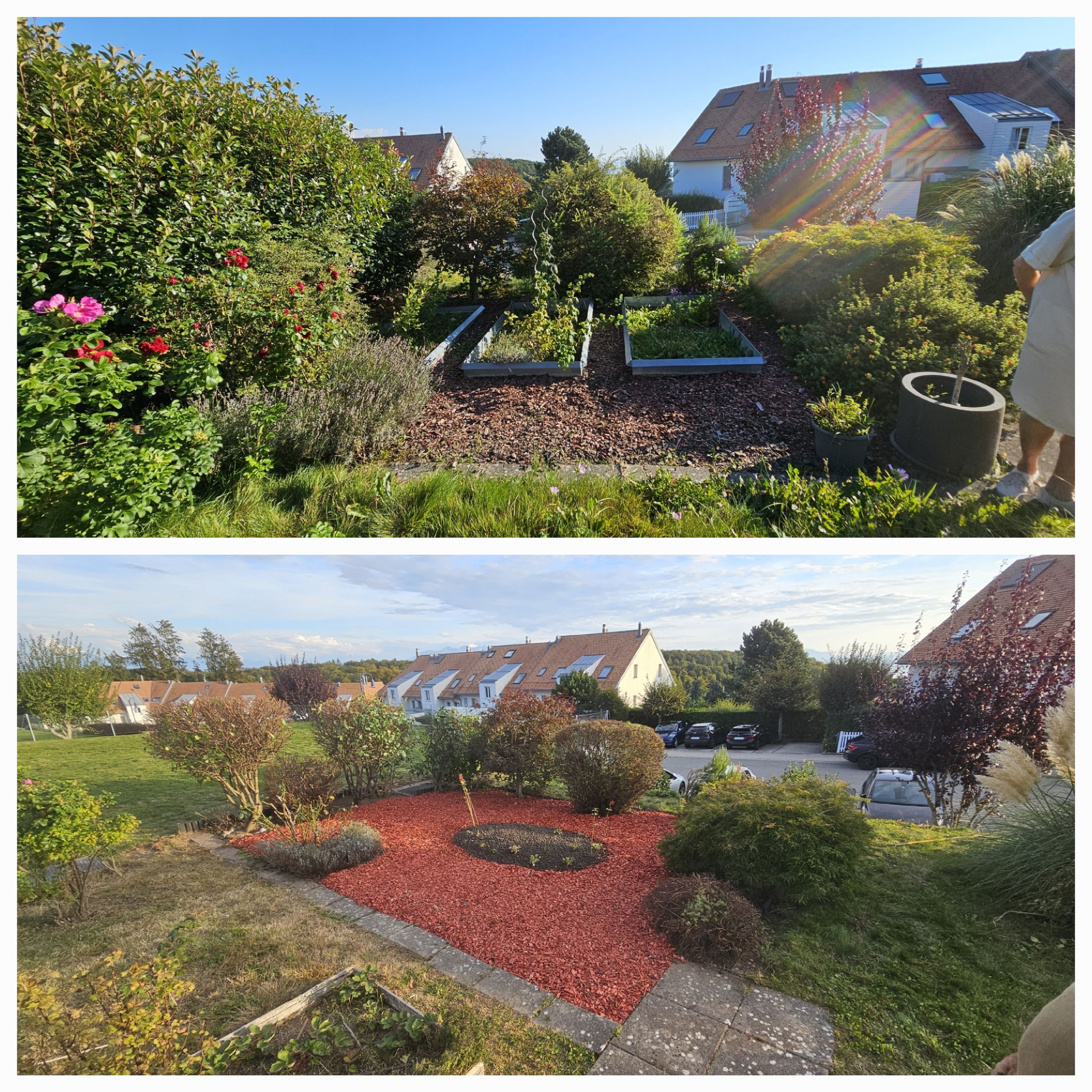 Bilder A'rborescence & Paysage Sàrl