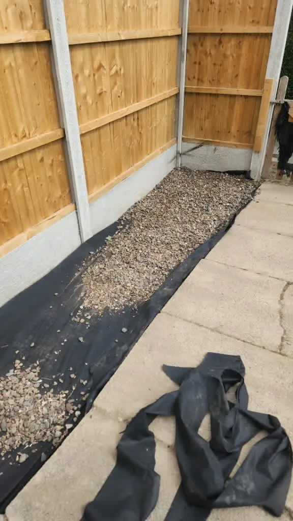 Images Master Moves Man & Van