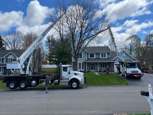 Images A&J Tree Service Inc.