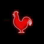 Houston TX Hot Chicken Logo
