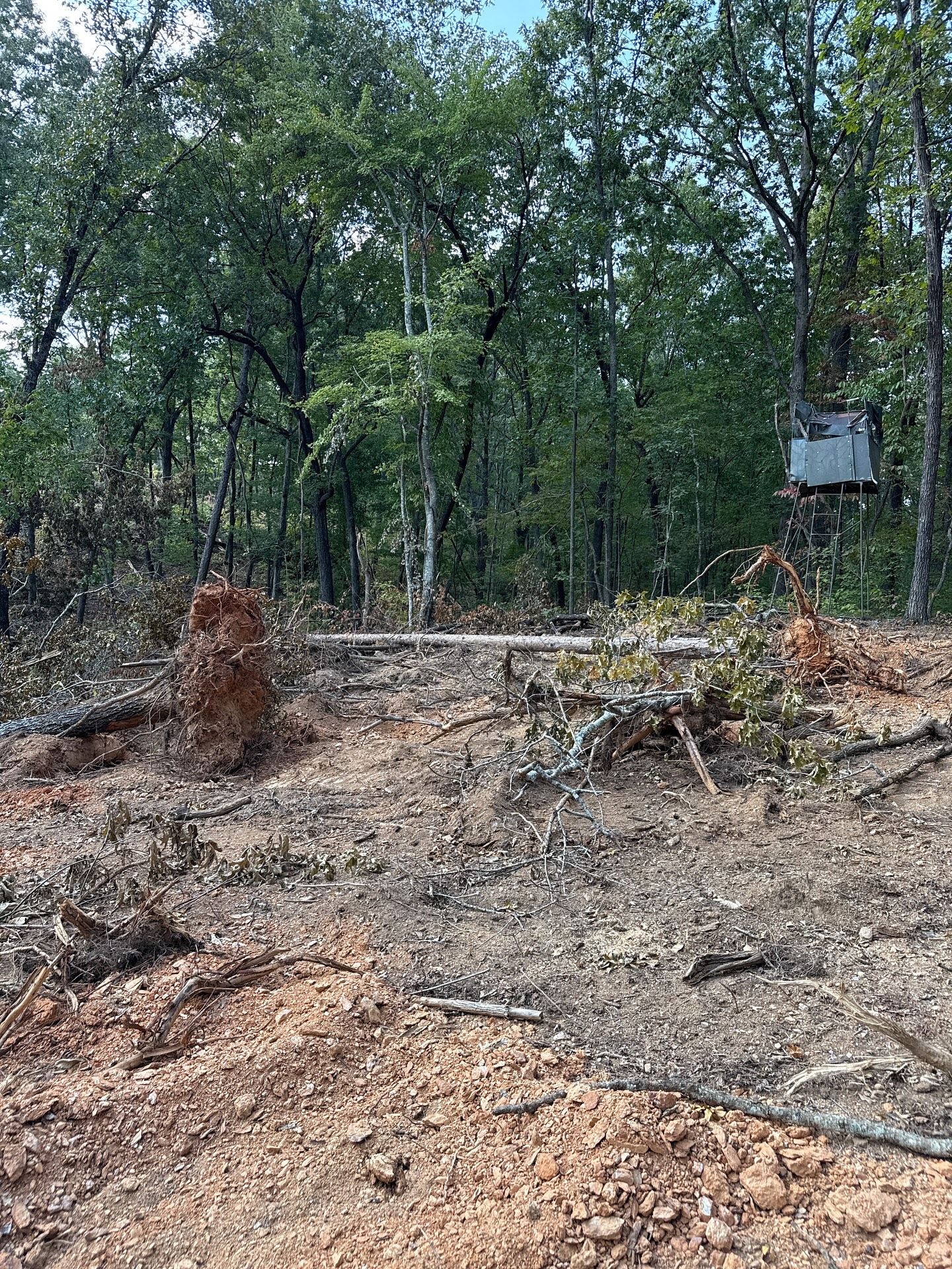 Tines & Timber Development and Land Management Image