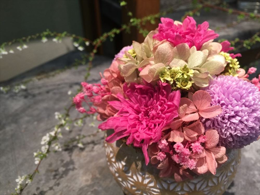 Images 花年