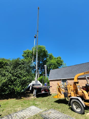Images Broken Branch Tree Service LLC