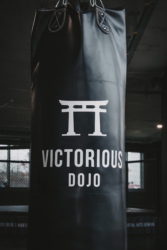 Bilder Victorious Dojo