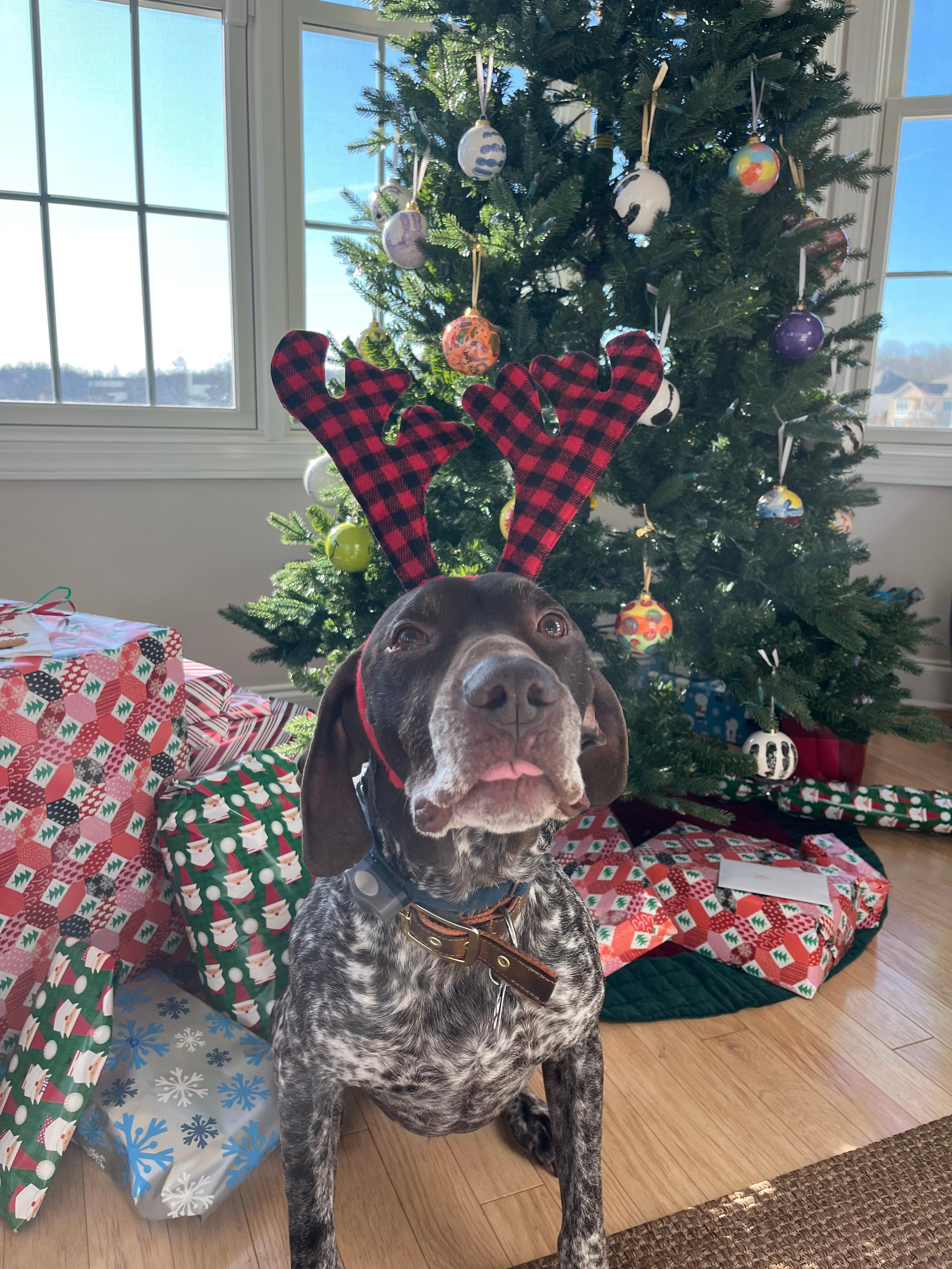 Gillespie Agency, LLC: Allstate Insurance Image