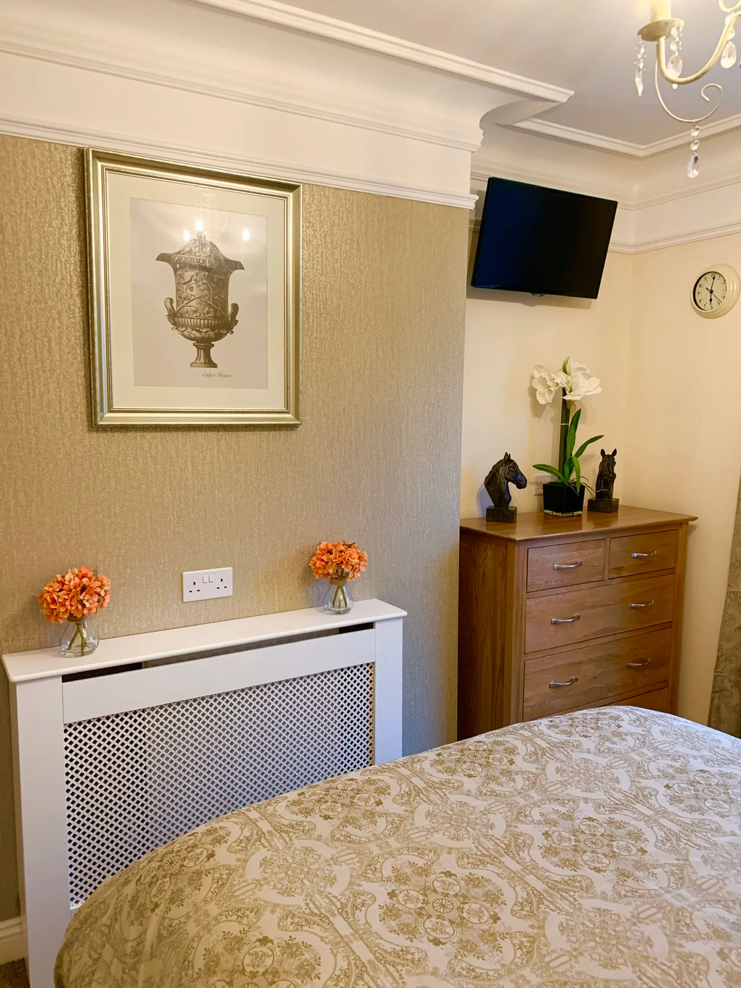 Images Plymouth Rooms to Rent
