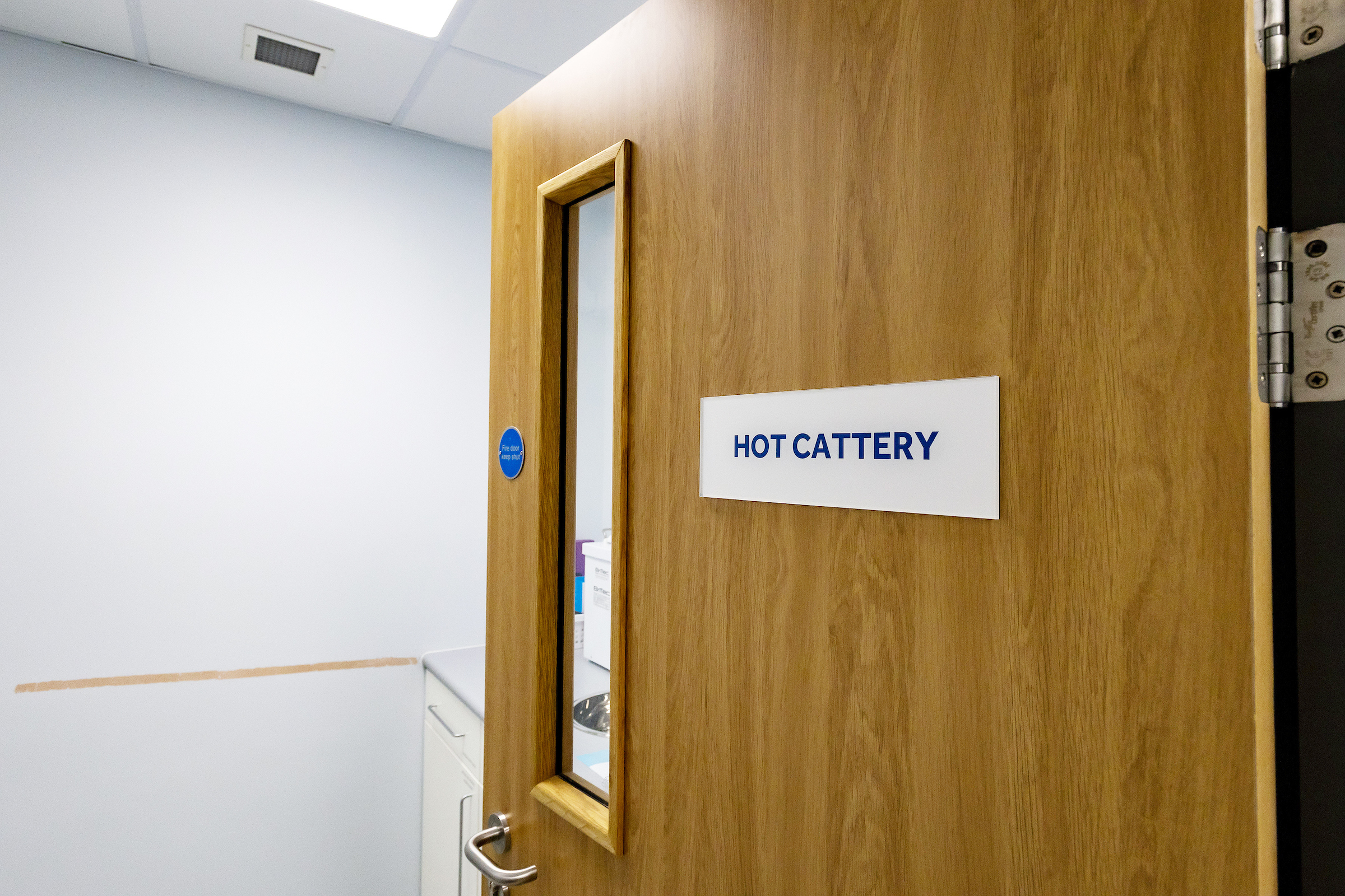 Hot cattery The Veterinary Surgery - Lowestoft Lowestoft 01502 572141