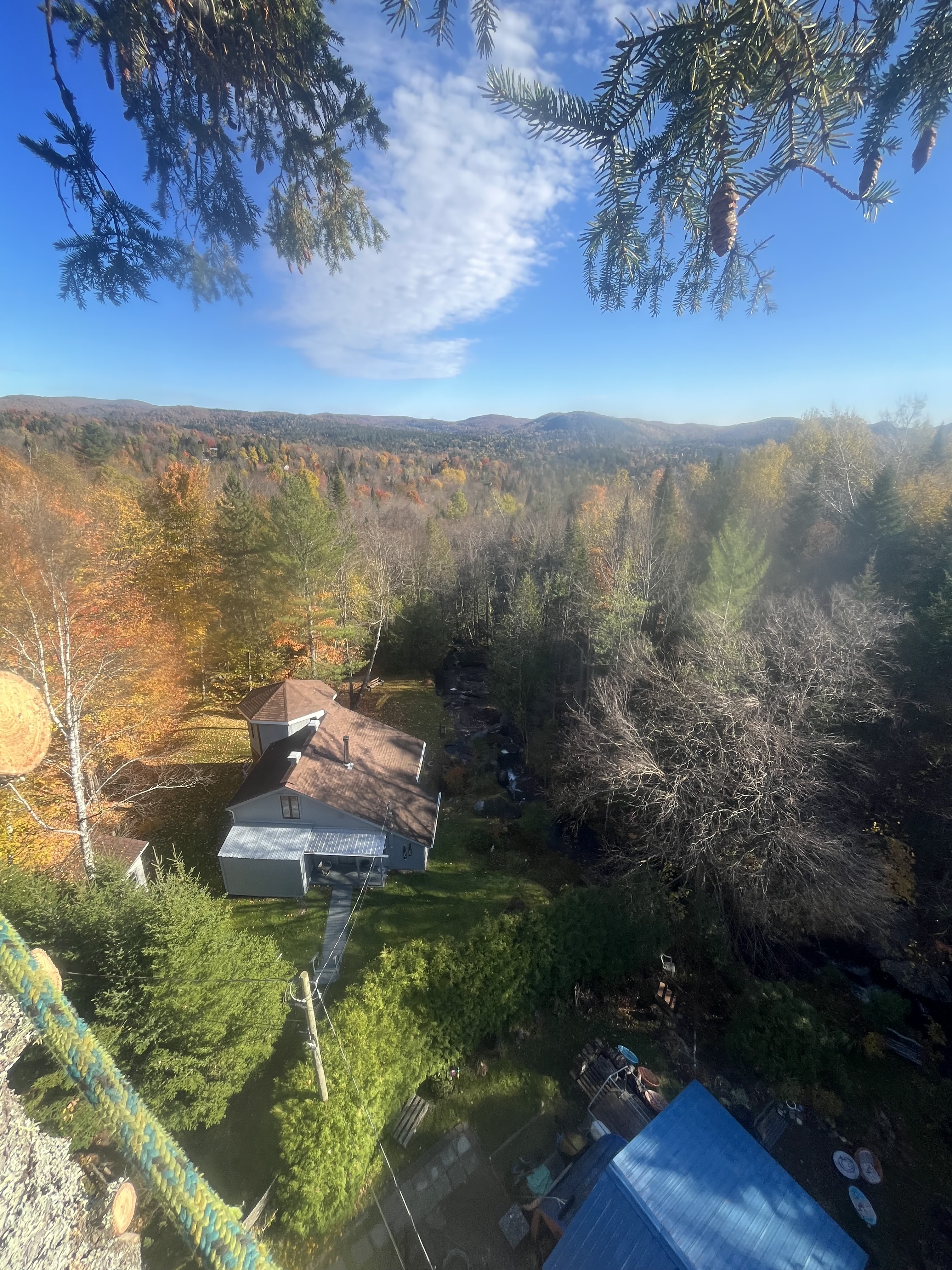 Images Élagage Frère d'Arbres