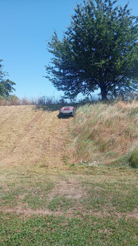 Images Polliotto Manutenzioni Giardini di Polliotto Peter