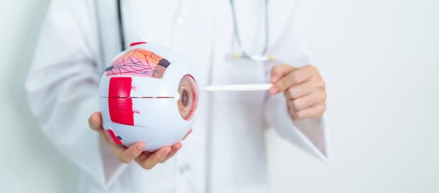 Images Cara Hauser, OD