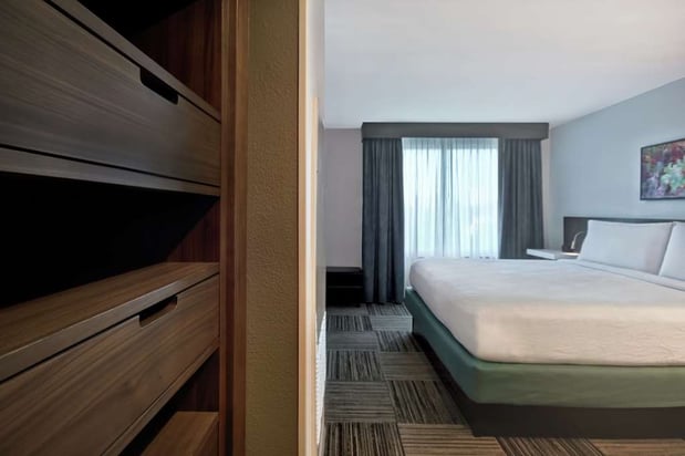 Images Hilton Garden Inn Houston/Galleria Area