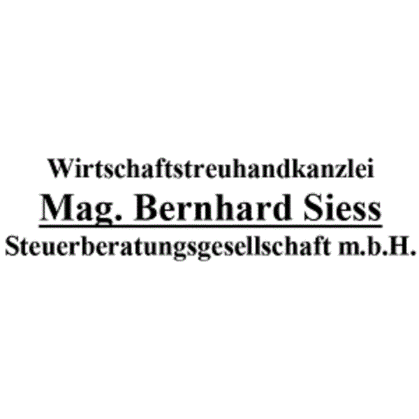 Wirtschaftstreuhänder Steuerberater Mag. Bernhard Siess Steuerberatungsgesellschaft m.b.H. Logo
