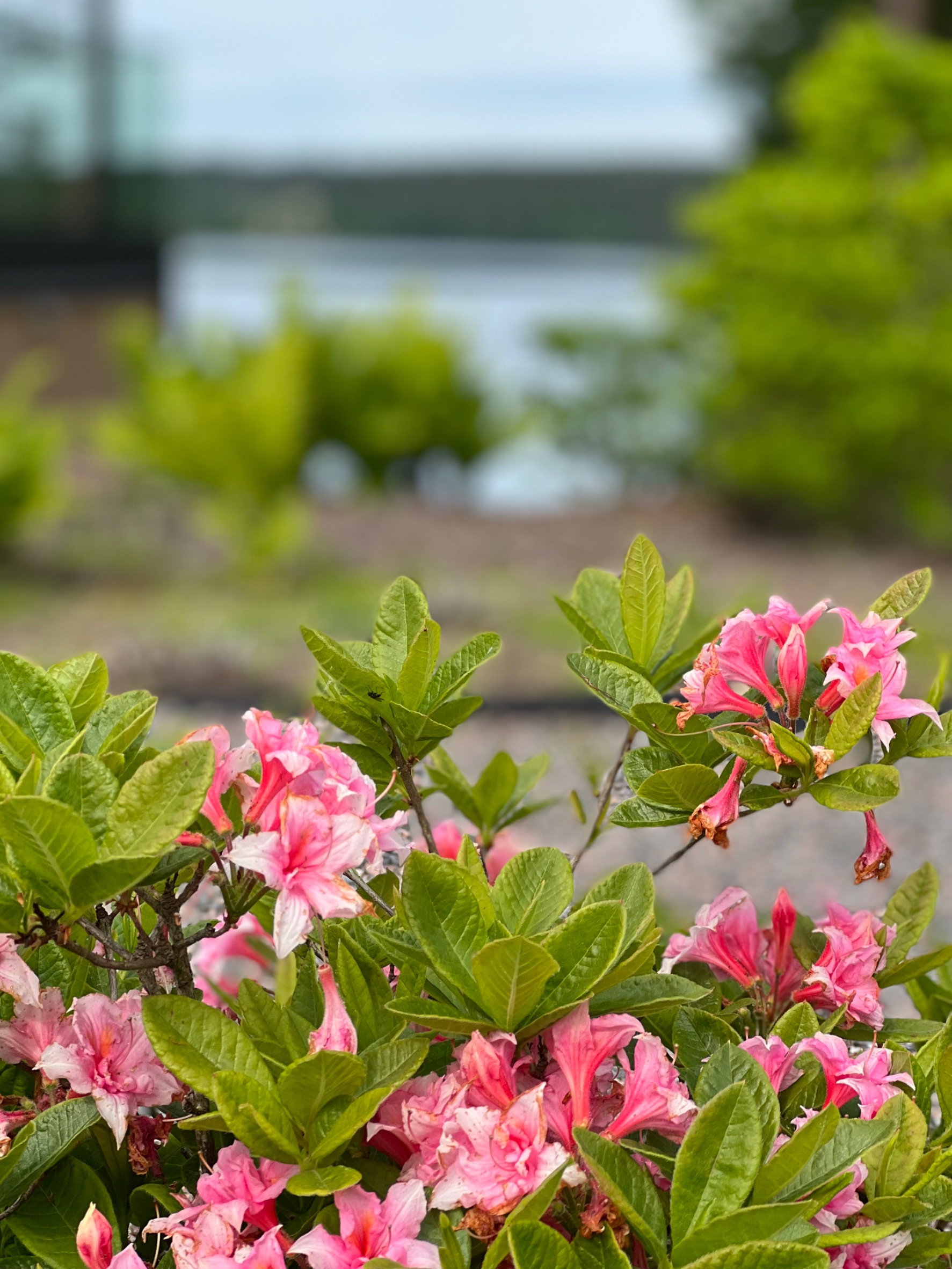 Images via Garden Oy