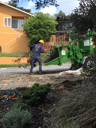 Images JC Tree Care & Landscape